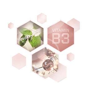 Visual representation of the Mary Kay Age Minimize 3D Complex ingredients.